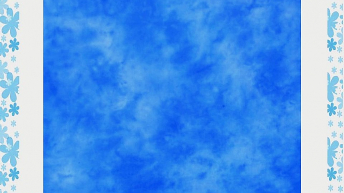 Lastolite LL LB7746 10 x 12 Feet Washable Muslin Background (Florida)