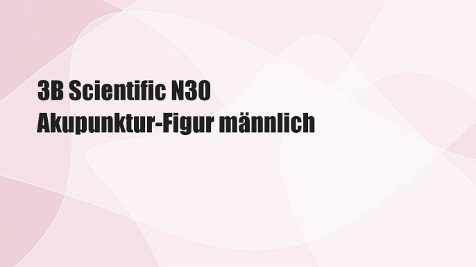 3B Scientific N30 Akupunktur-Figur männlich