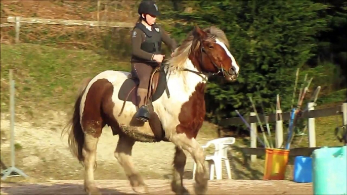 Cours de Saut d'obstacles du 07.03