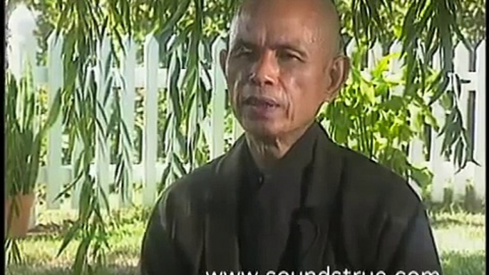 Thich Nhat Hanh- Mindful Movements