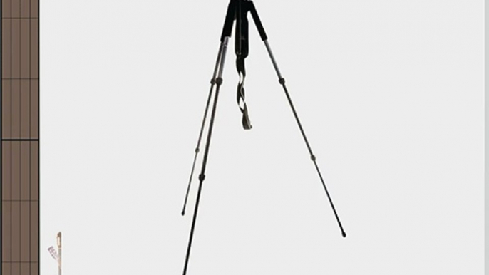 Giottos MT9261 Aluminum 3-Section Tripod Series II