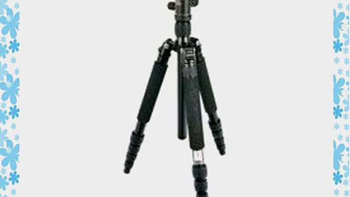 Giottos VGR9255-S2C 5-Sec. Aluminum Tripod With MH5310-655S ARCA Compatible QR Ballhead