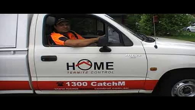 Termite Inspection Sydney - Termite Expert