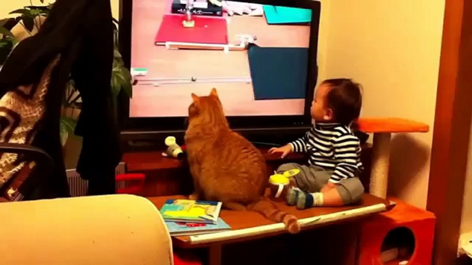 Chat et bébé   Les chats et les bébés de vidéos drôles 2015   Vidéos drôles de bébé 2015