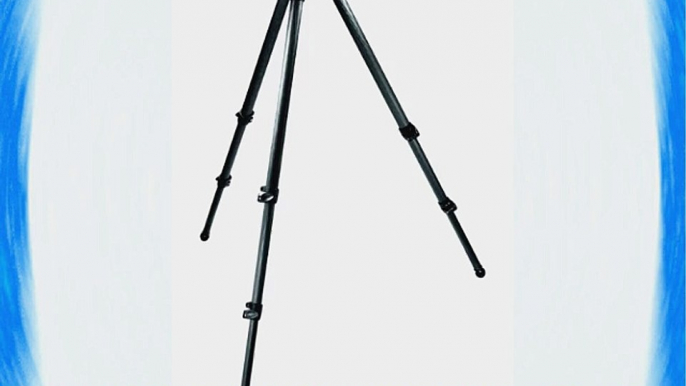 Manfrotto 535 Carbon Fiber 2-Stage Video Tripod with 75mm Bowl (Black)