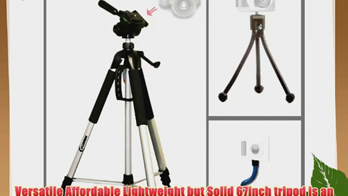 Professional Performance 67 inch Tripod including Flexible Monopod and Mini Tripod for Canon