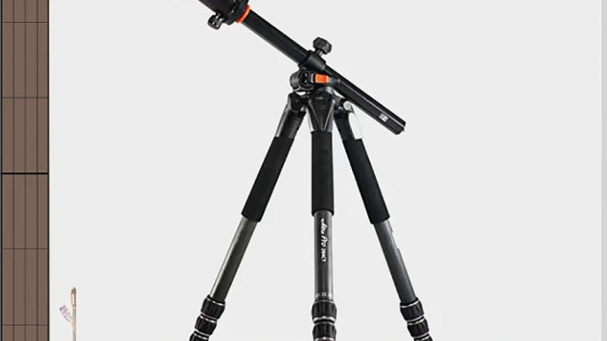 Vanguard Alta Pro 284CB 100 Carbon Fiber Tripod Kit