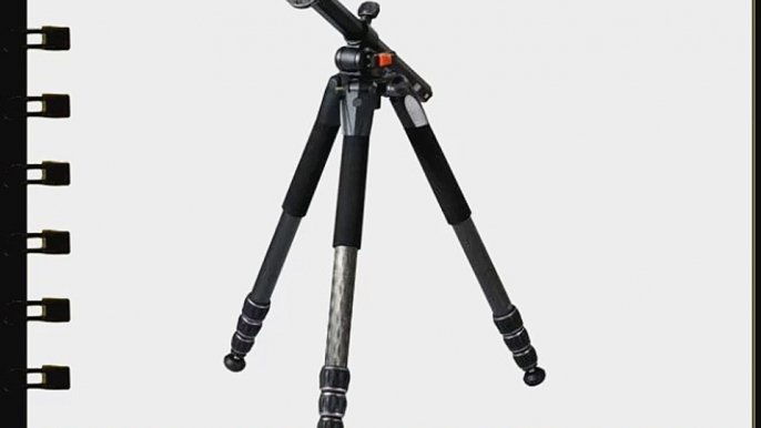 Vanguard Alta Pro 284CT Carbon Fiber Tripod Legs with Multi-Angle Central Column System