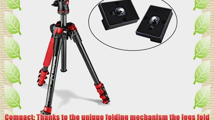 BeFree Compact Lightweight 4 Section Travel Tripod