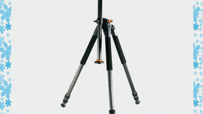 Vanguard Alta Pro 253CT Carbon Fiber Tripod Legs with Multi-Angle Central Column System