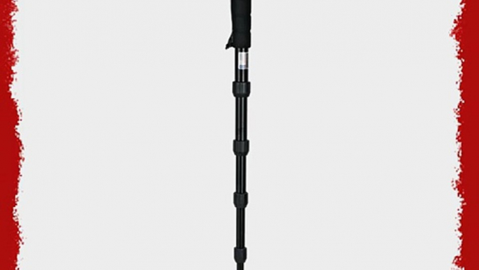 Giottos MM9780 Monopod (Black)