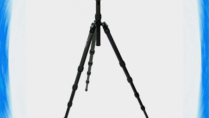 Oben CT-3581 Pro Carbon Fiber Compact Travel Tripod With BE-126T Ball Head