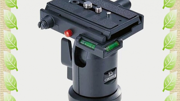 Giottos MH7001-621 Ball Head with 621 Quick Release Plate