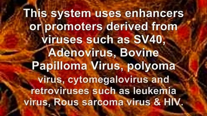 MHS 19: PATENTED MORGELLONS: INSECT HORMONE ECDYSONE SWITCHES DISEASE ON/OFF