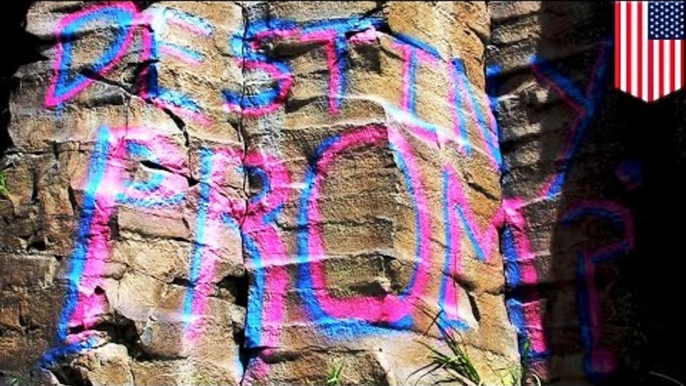 Dumb prom date proposal: teen spray-paints Idaho cliff in the Black Hills to get a date - TomoNews