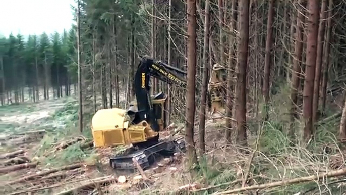 Feller Buncher Tigercat L870C on Steep Terrain