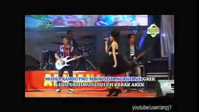 Nasib 2 -  Nella Kharisma  - ( New dangdut Koplo Arwana Vol 2)