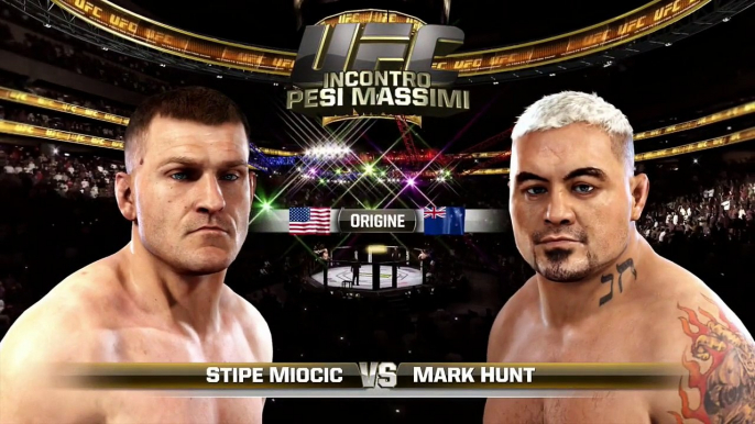 UFC Fight Night Stipe Miocic vs Mark Hunt 2015