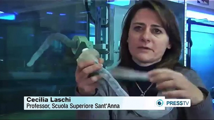 Italian scientists create soft-bodied robotic octopus arm