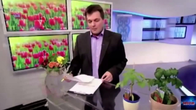 Best News Bloopers    Funny Reporter Video!   Amazing Reporter   Best of the Week April 2015