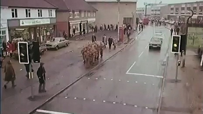 Pelican Crossing (Dad's Army) (1974)