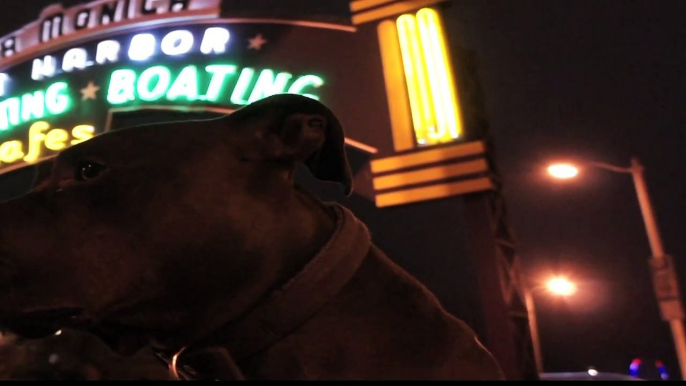 Conversations with a Pit Bull, Music Video.mov