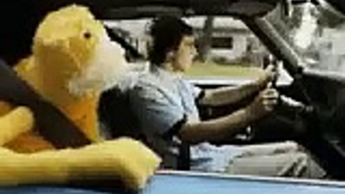 funny muppet car ride / mr oizo flat beat