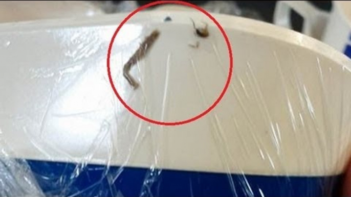 EW! Cockroach found in Bangkok Airways airplane food