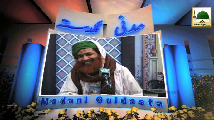 Non Islamic Activities Hurt the Saint of Shrine - Maulana Iyas Qadri - Madani Guldasta 620