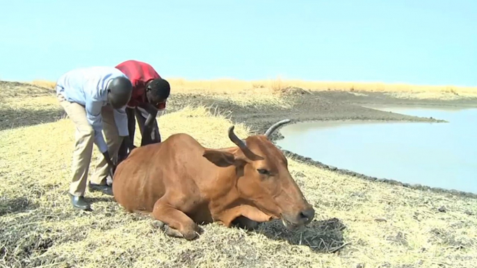 معاناة المناطق المحيطة بحقول النفط في جنوب السودان