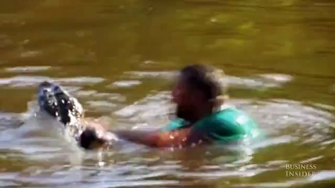 Unbelievable video of a man feeding alligators with his mouth in a Louisiana swamp