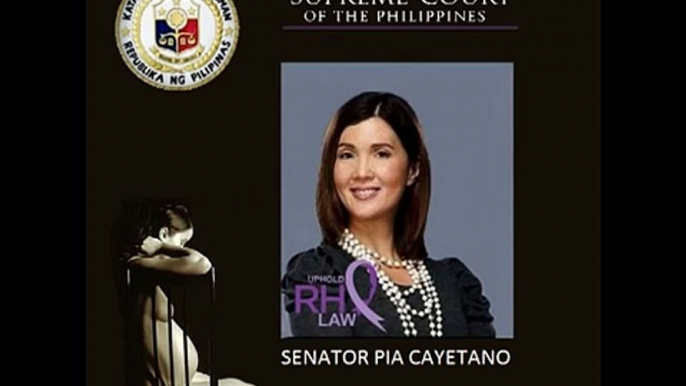 RH Law: August 13, 2013 Oral Arguments, Supreme Court of the Philippines