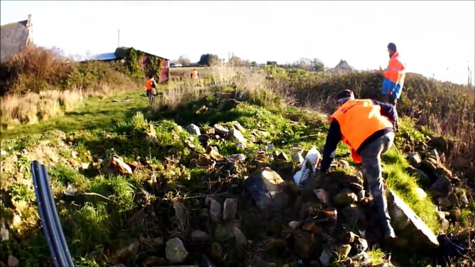 Battue aux sangliers, renards en Bretagne