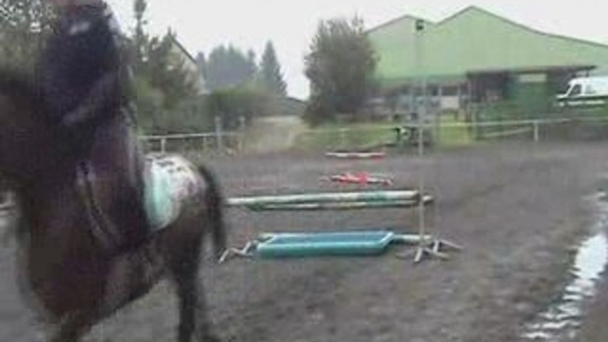 cours particulier de saut d'obstacle cheval