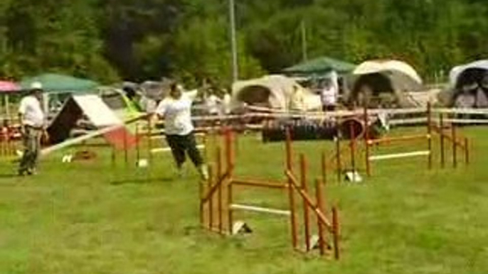 Concours agility Drusenheim GPF