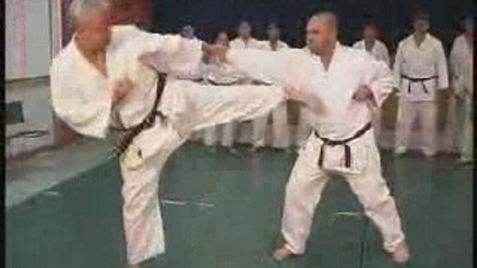 Karate – Punches, Strikes, Kicks, Moves, and Techniques