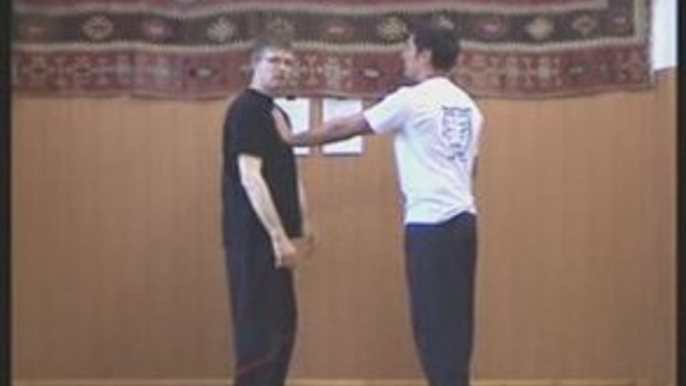 Wing Tsun Namen, Begriffe und Techniken Übersetzung