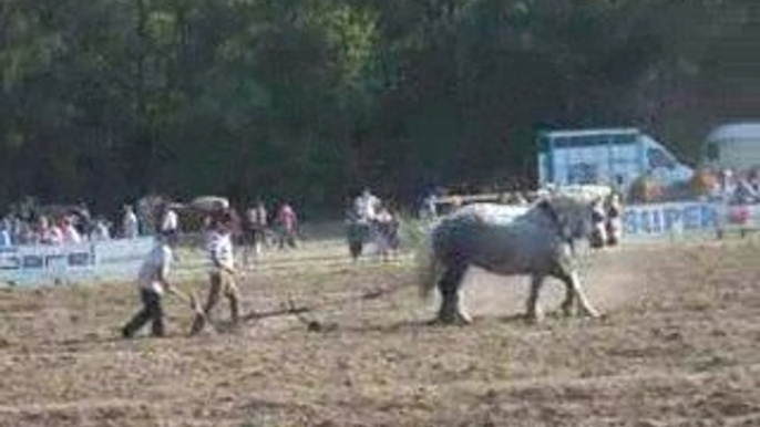 Peaugres ( Ardèche )  2009 , concours de labour