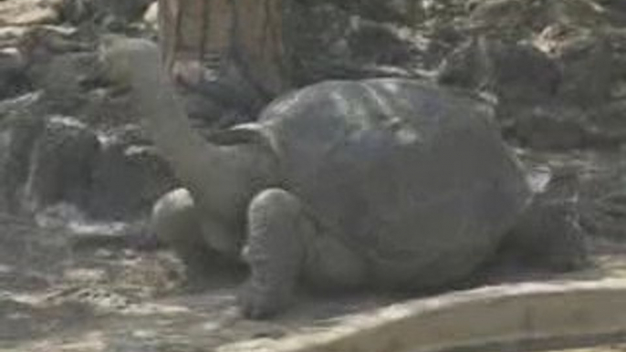 Scientists fear climate change damage to Galapagos islands