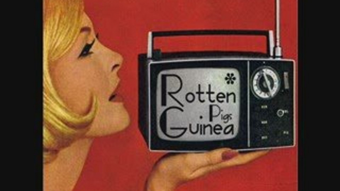 Rotten Guinea Pigs - Got So Many Things