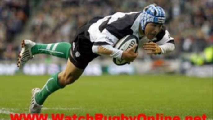 watch england vs wallabies rugby live 7th November online