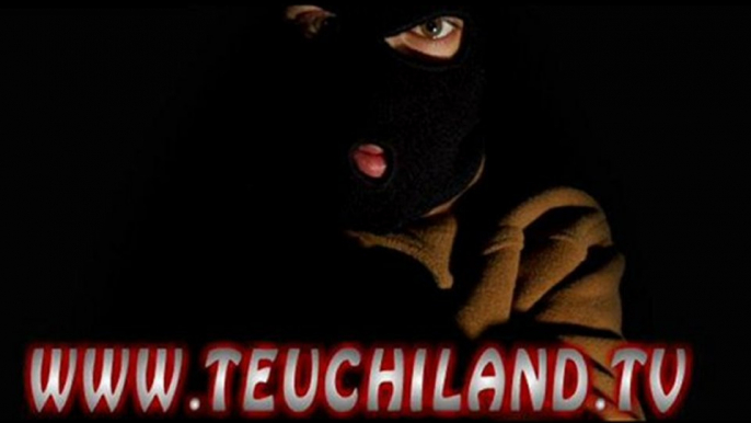 Teuchiland - Mes résolutions 2010