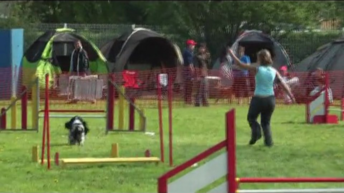 concours agility saison 2009 c'ven agility partie 2