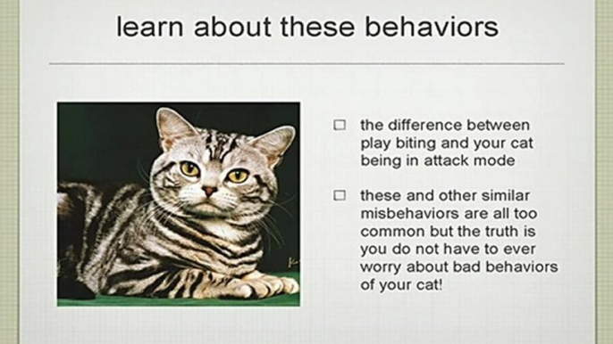 Behavior problems of cats and how to modify cat behavior.