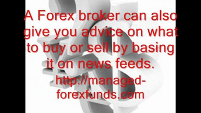 managed forex funds