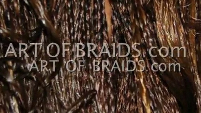 ART  OF  BRAIDS    MICRO    BRAIDS   INDIVIDUAL BRAIDS