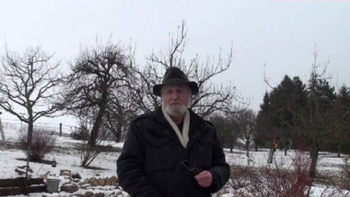 S’initier à la taille des arbres fruitiers