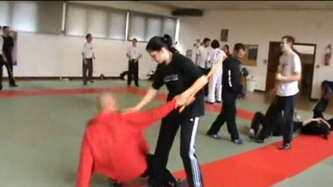 Stage Savate Défense du 28 mars 2010 Vidéo 1