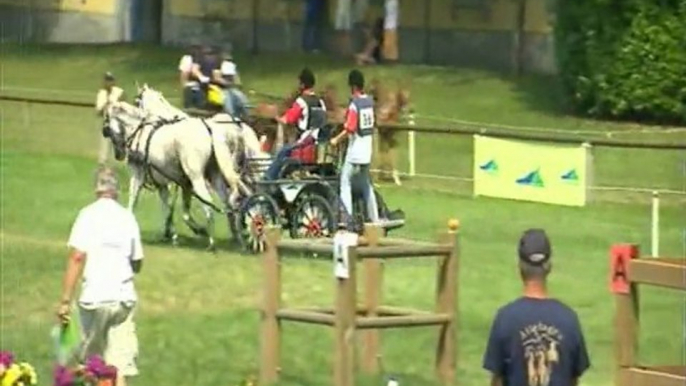 concours d'attelage en Haute-Pyrénées