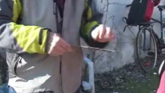 Taille et greffe d'arbres fruitiers aux Murs à Pêches